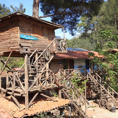 Kadir'S Top Tree Houses Olympos Exteriör bild