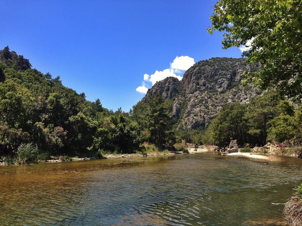 Kadir'S Top Tree Houses Olympos Exteriör bild