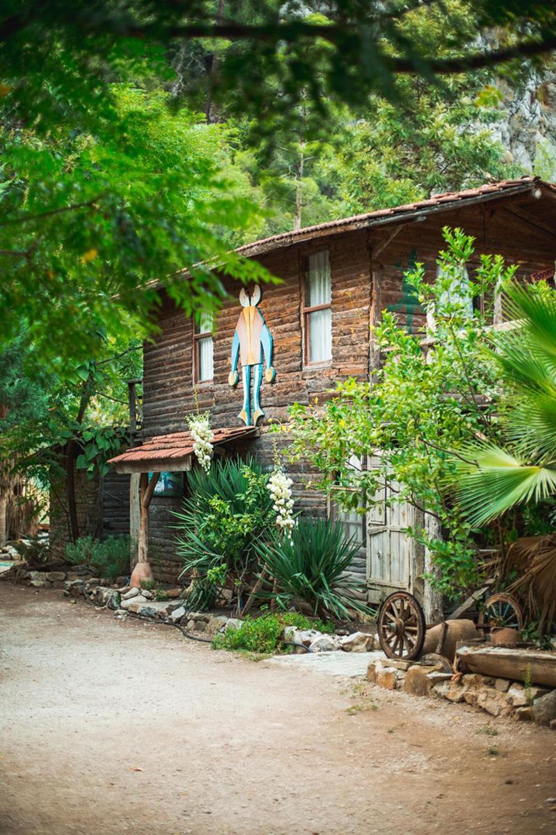 Kadir'S Top Tree Houses Olympos Exteriör bild