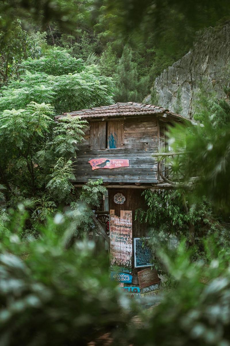 Kadir'S Top Tree Houses Olympos Exteriör bild