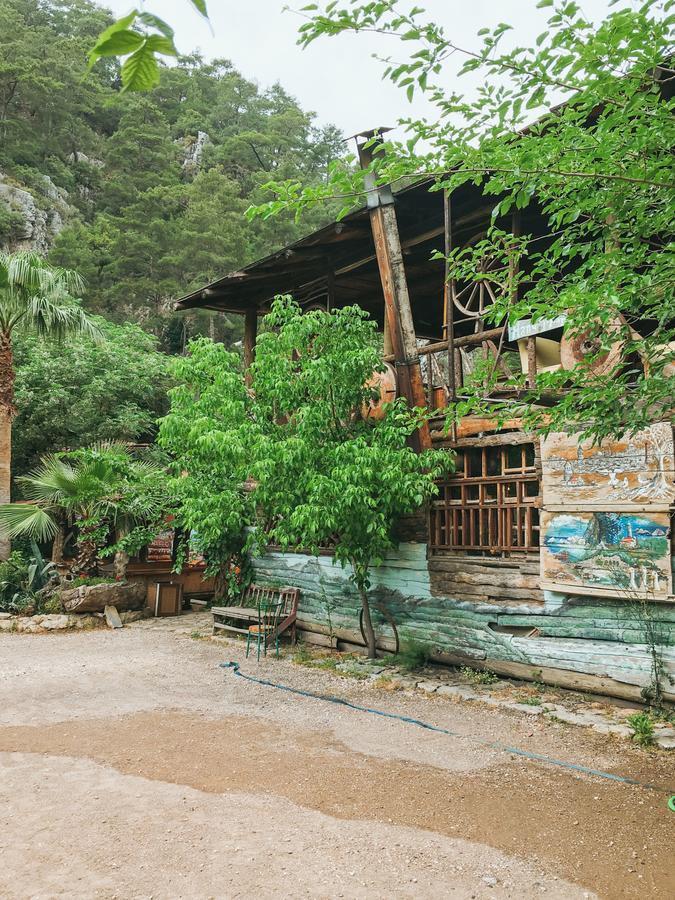 Kadir'S Top Tree Houses Olympos Exteriör bild