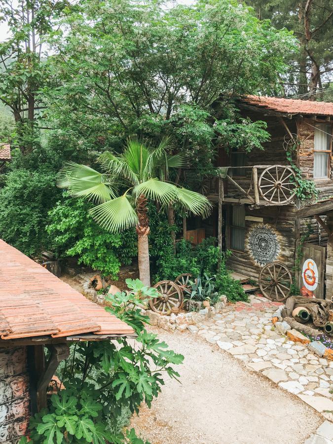Kadir'S Top Tree Houses Olympos Exteriör bild