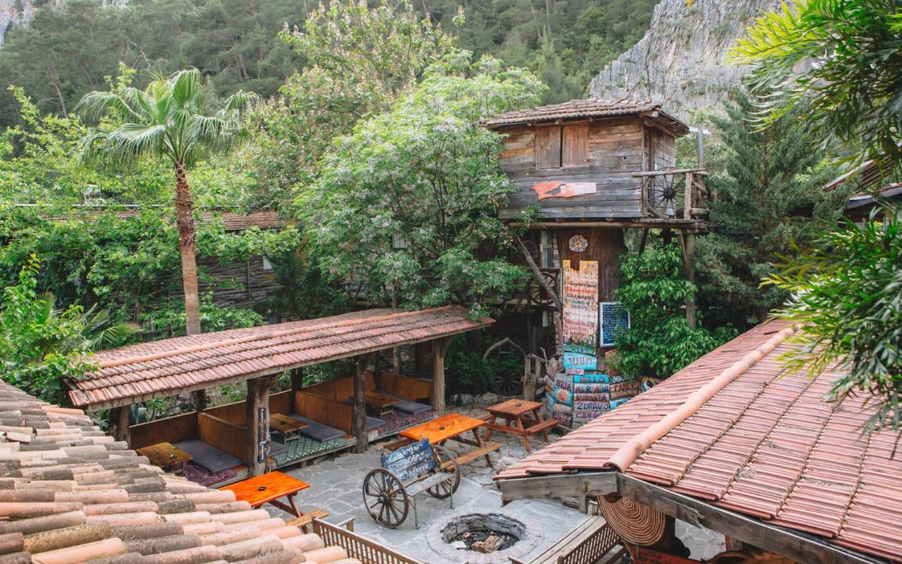 Kadir'S Top Tree Houses Olympos Exteriör bild